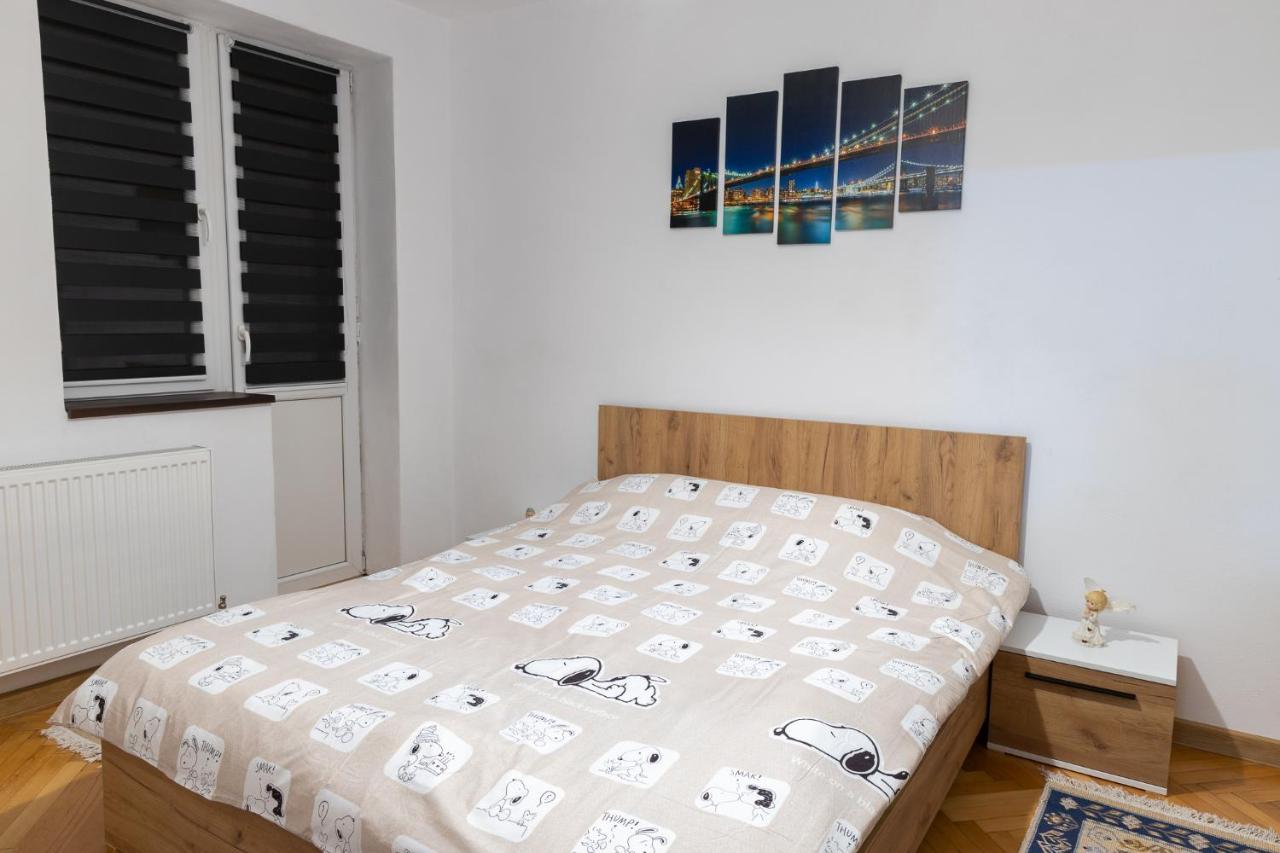 Petroşani Angel House Central Aparament מראה חיצוני תמונה